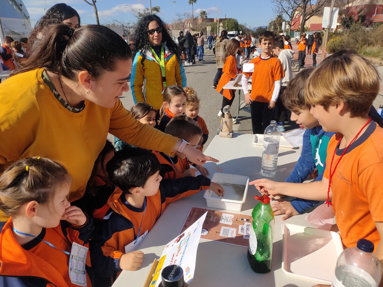 Imagen de WhatsApp 2025-02-15 a las 11.28.19_64a1960d