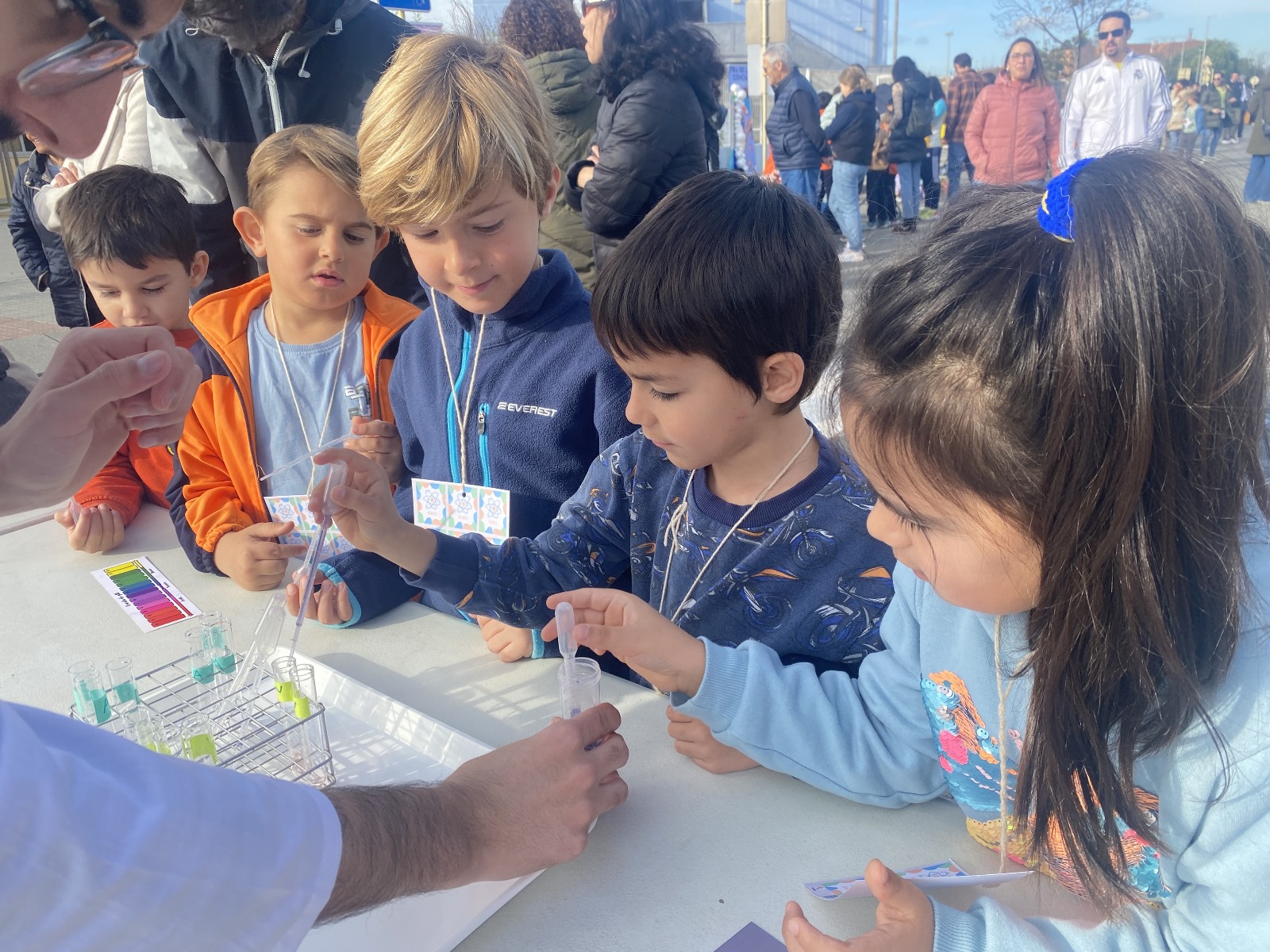 Imagen de WhatsApp 2025-02-15 a las 11.28.20_3d973822