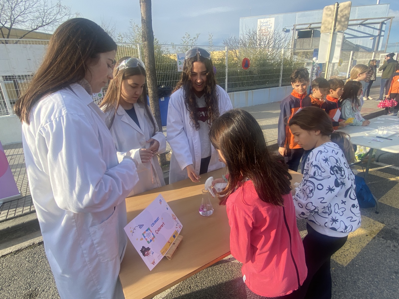 Imagen de WhatsApp 2025-02-15 a las 11.28.26_a89dd77d