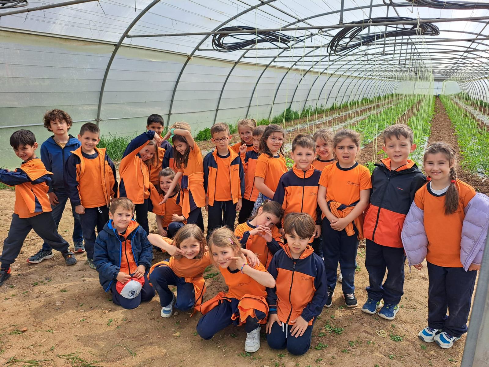 WhatsApp Image 2025-04-10 at 17.45.48