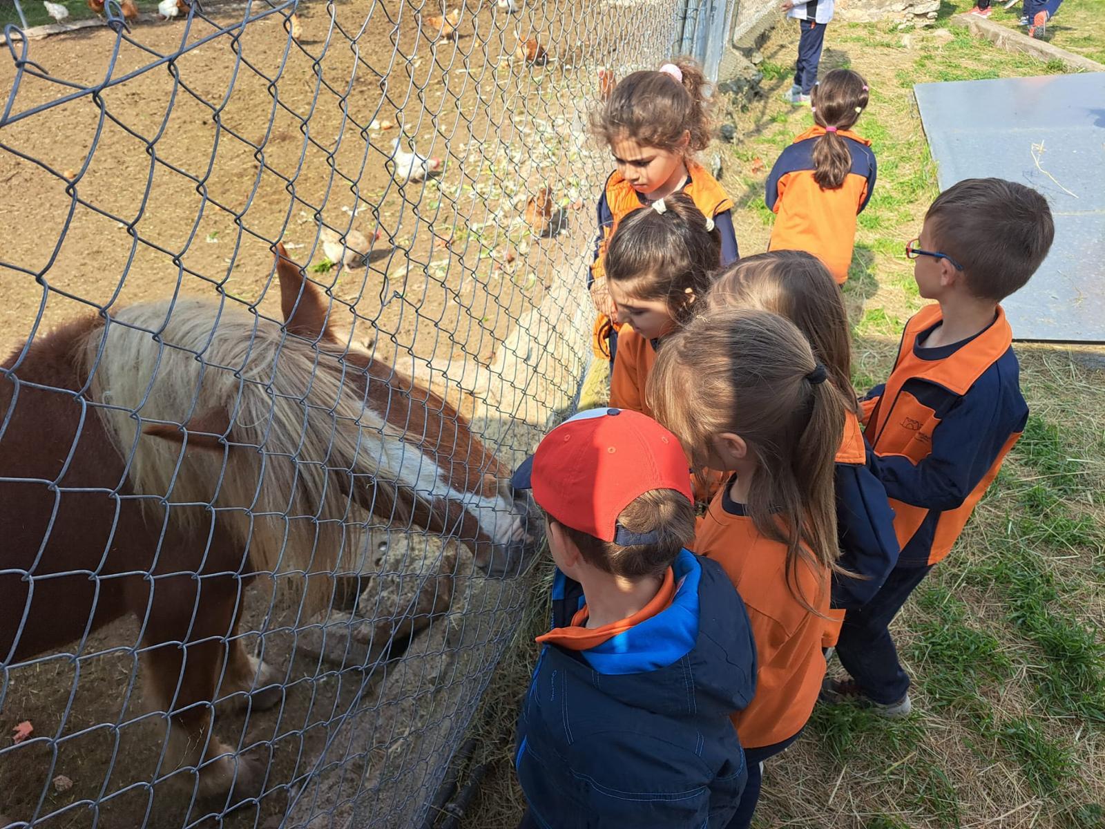 WhatsApp Image 2025-04-10 at 17.45.49 (1)