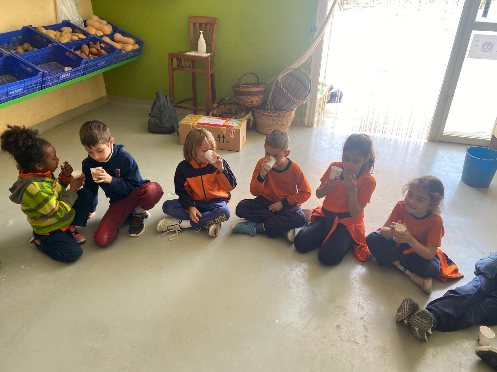 WhatsApp Image 2025-04-10 at 17.53.55 (4)