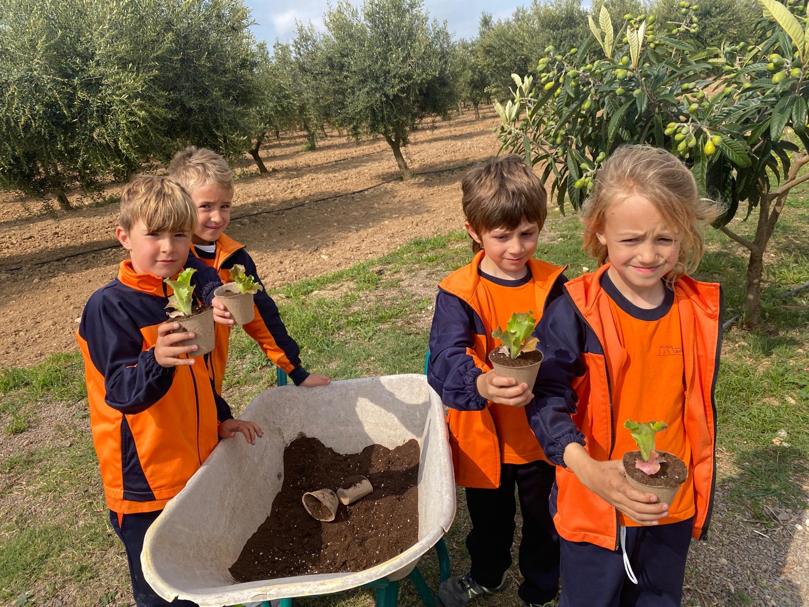 WhatsApp Image 2025-04-10 at 17.53.56