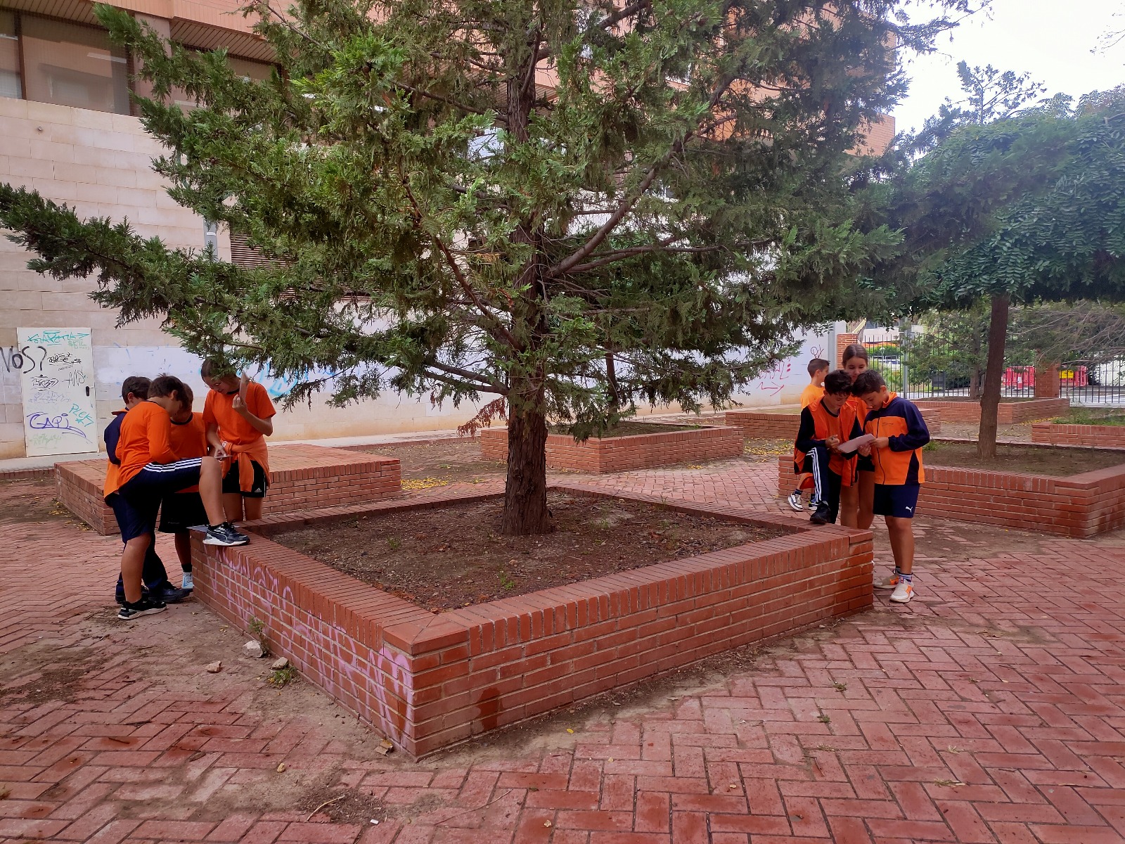 Imagen de WhatsApp 2025-10-23 a las 00.06.31_2ed7dc80