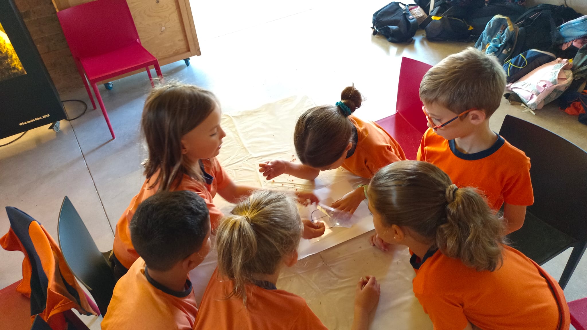 PHOTO-2025-10-16-07-33-50 (3)