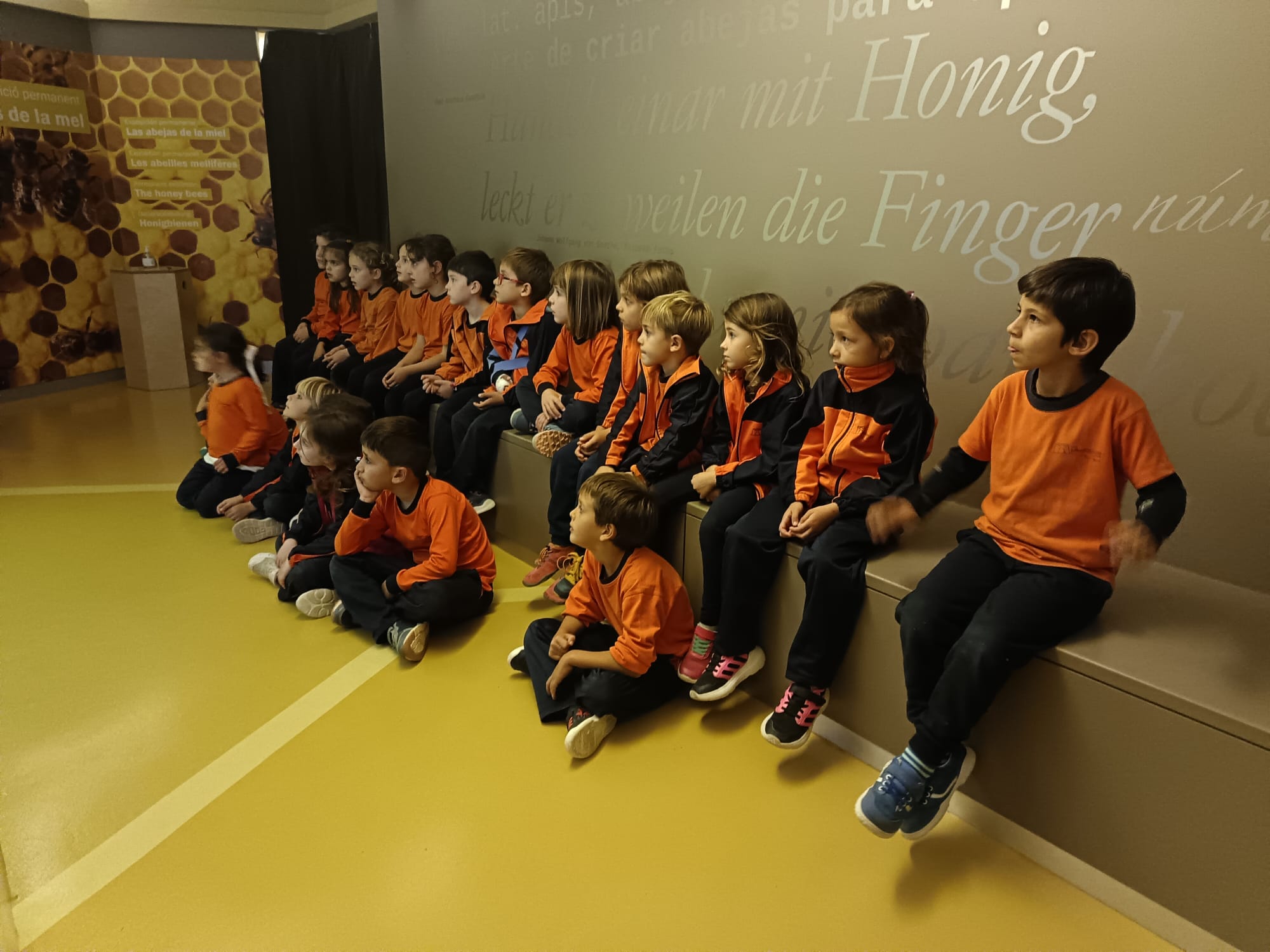 WhatsApp Image 2025-11-07 at 16.10.13(4)