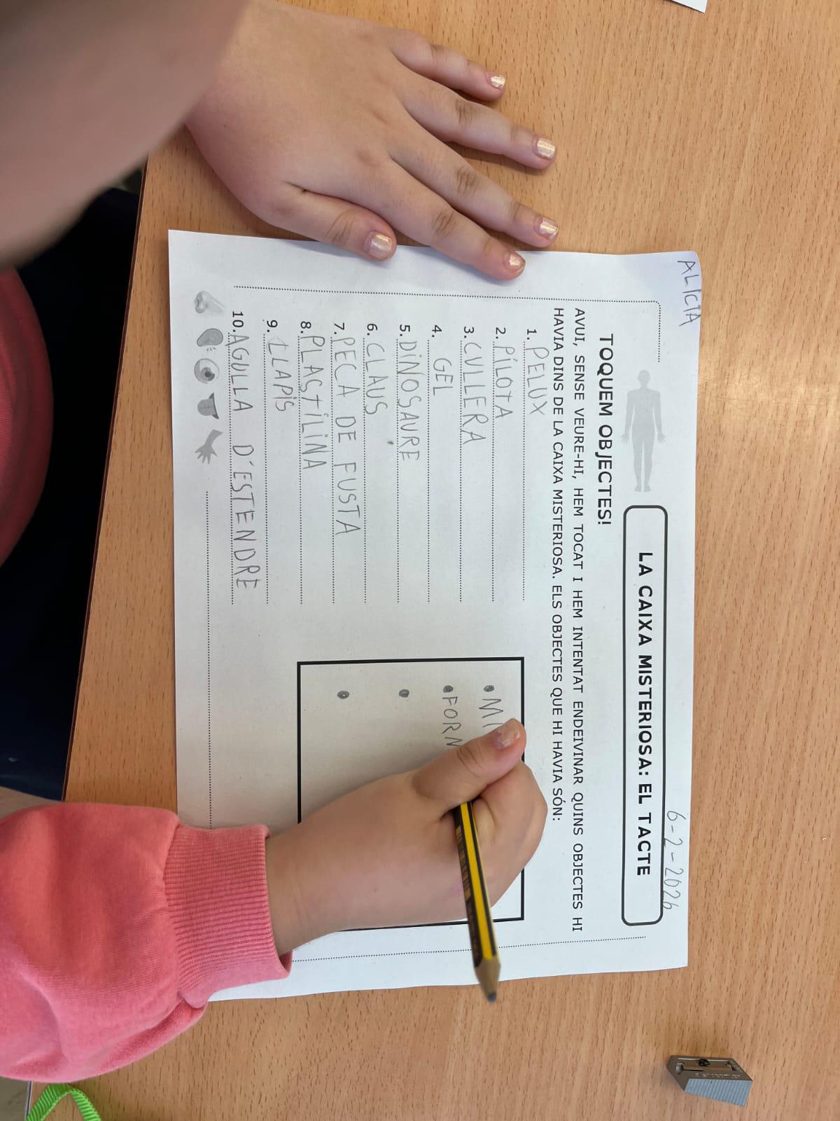 WhatsApp Image 2026-02-06 at 16.44.25