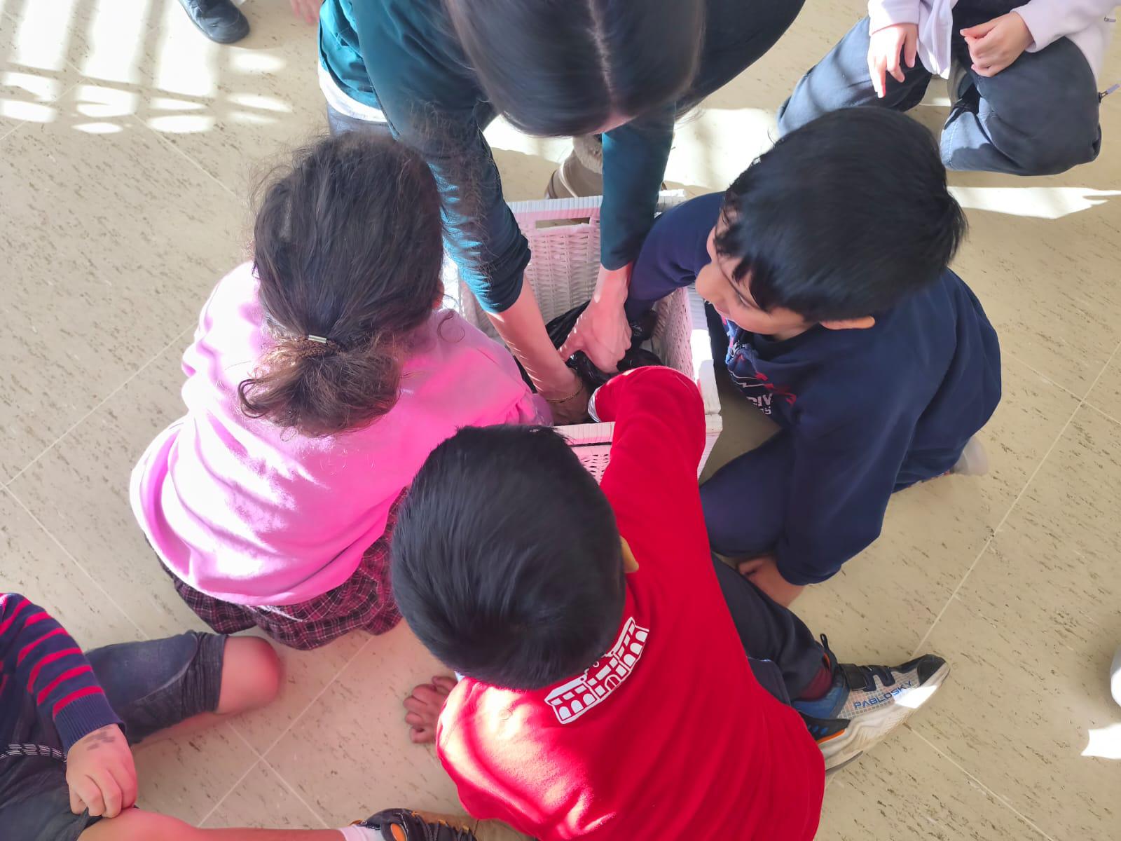 WhatsApp Image 2026-02-06 at 16.44.26 (1)