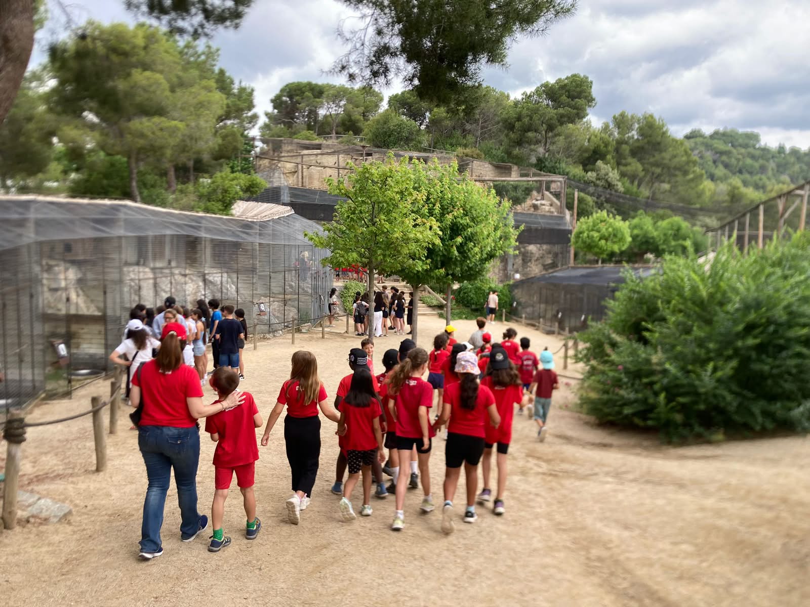 cimàligues6