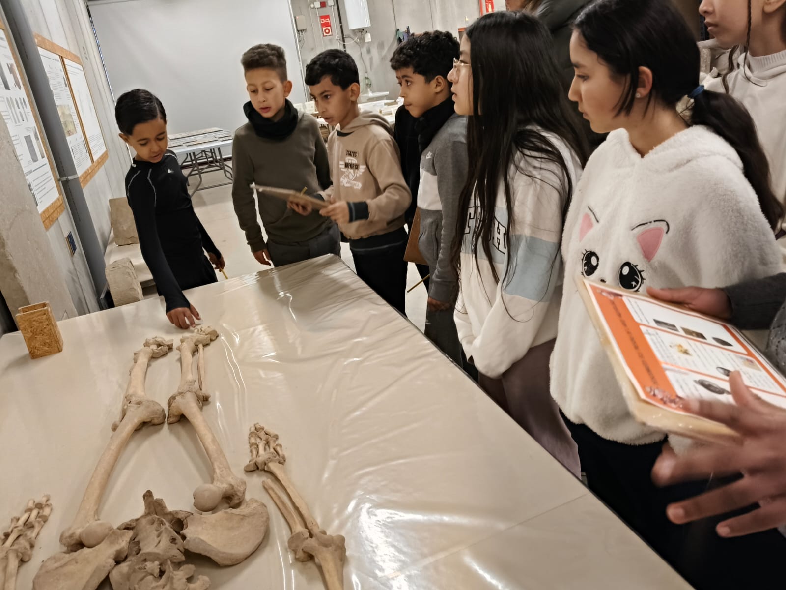 WhatsApp Image 2025-01-30 at 09.47.50