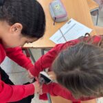 Analistes de dades 5è