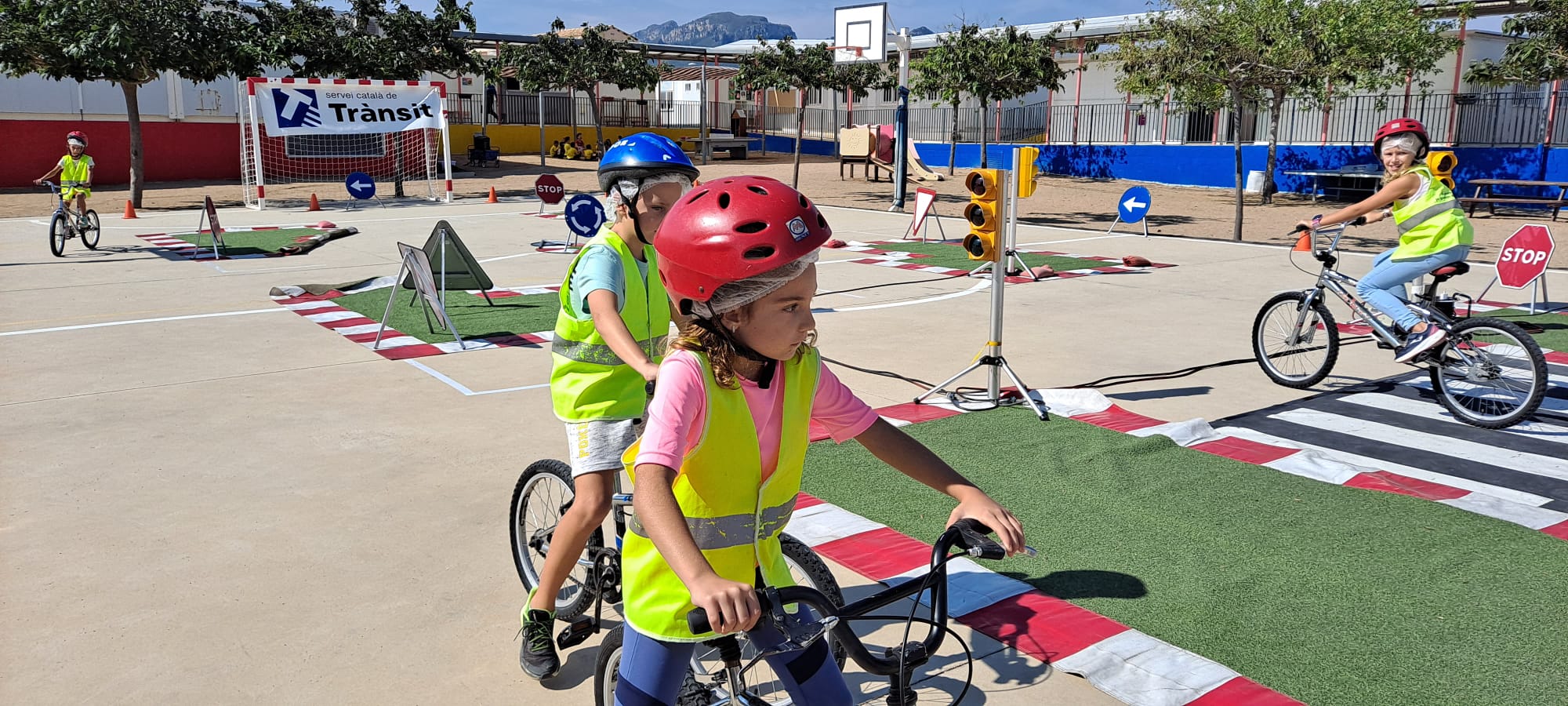 d625f0fc-60e2-44c4-85d5-2f2b841a5530