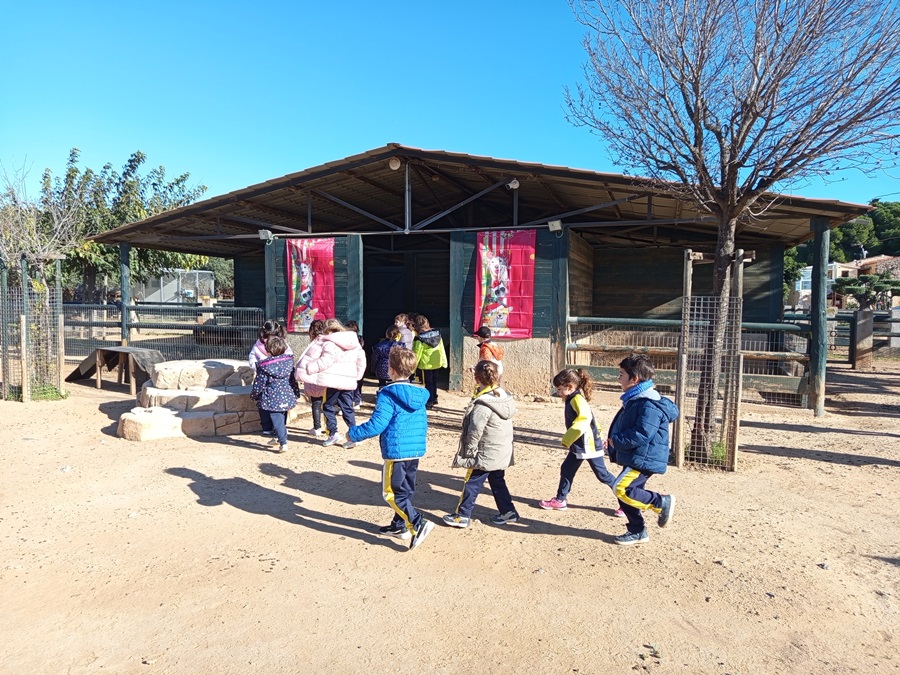 Còpia de IMG_20241122_110422