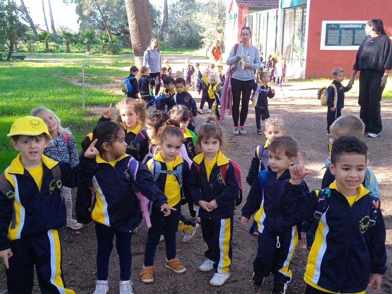 IMG_20241108_110122_1