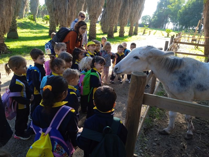 IMG_20241108_110614_1