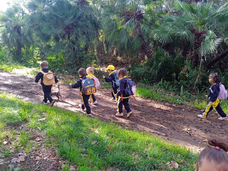 IMG_20241108_112800_1