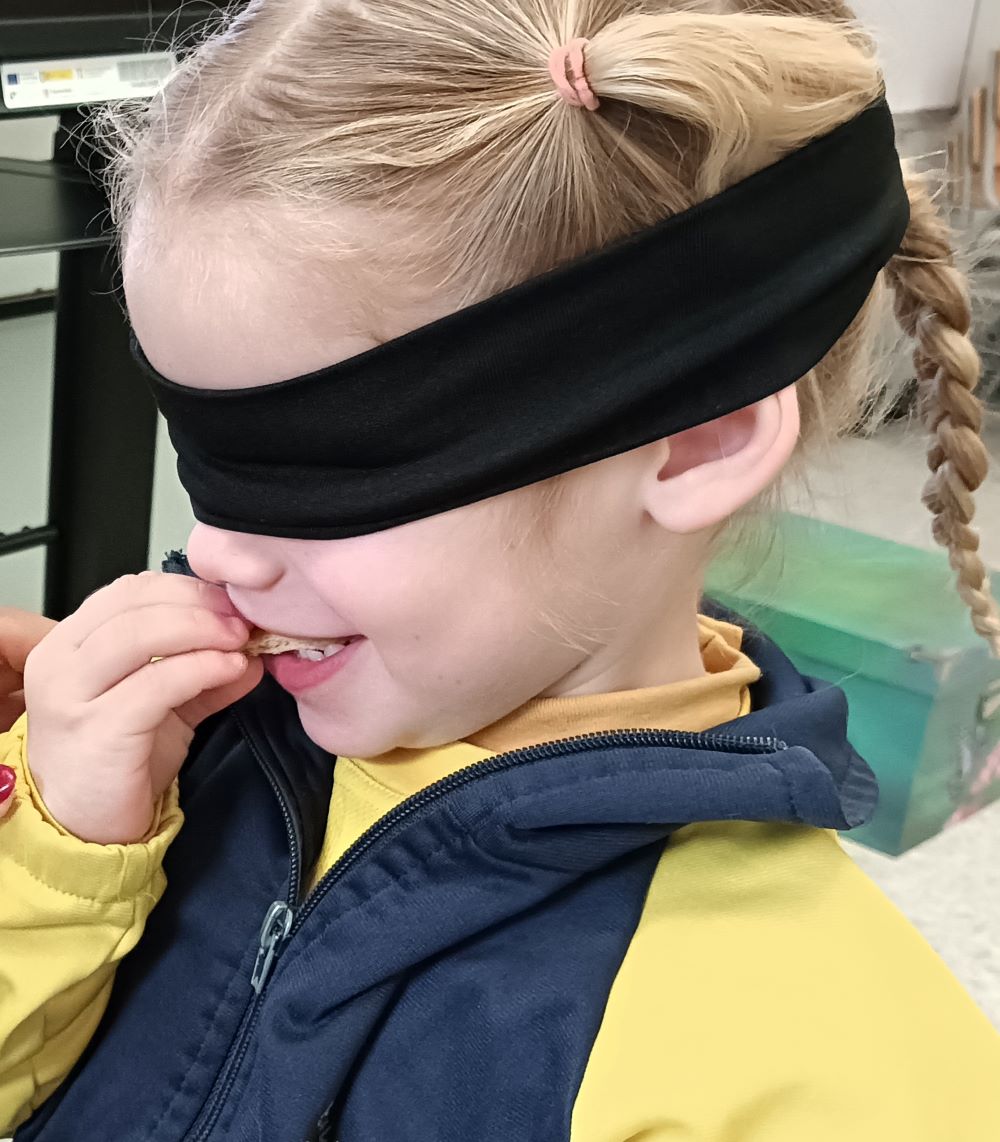 IMG_20250119_151227 (1)