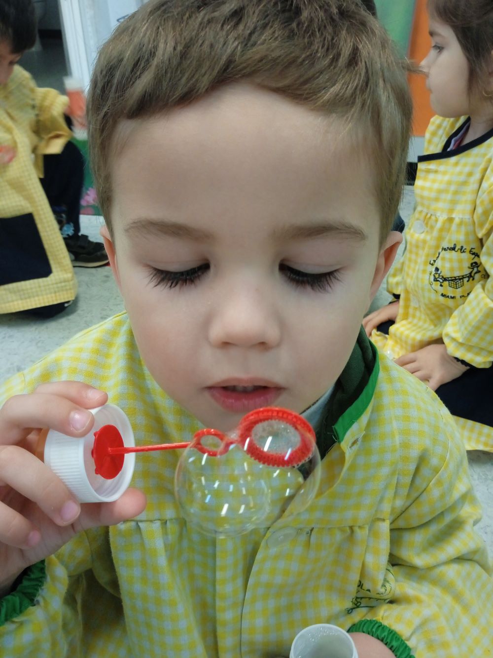 IMG_20250121_094411 (1)