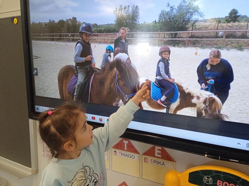 IMG_20250123_144641_1