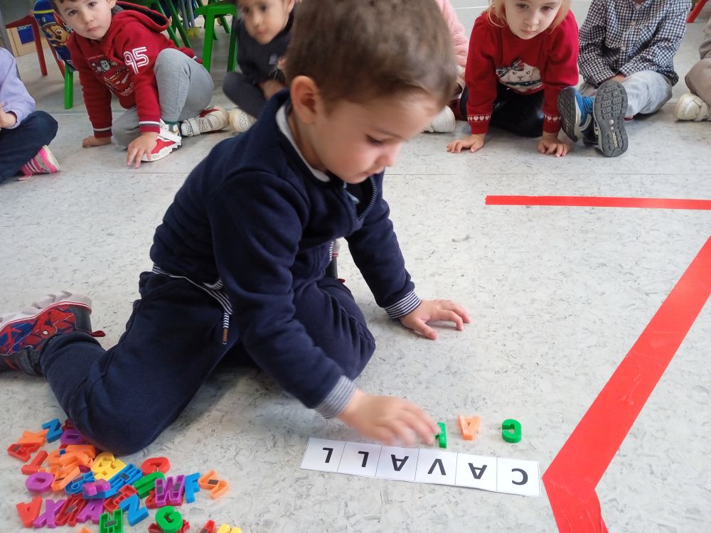 IMG_20250129_094544_1