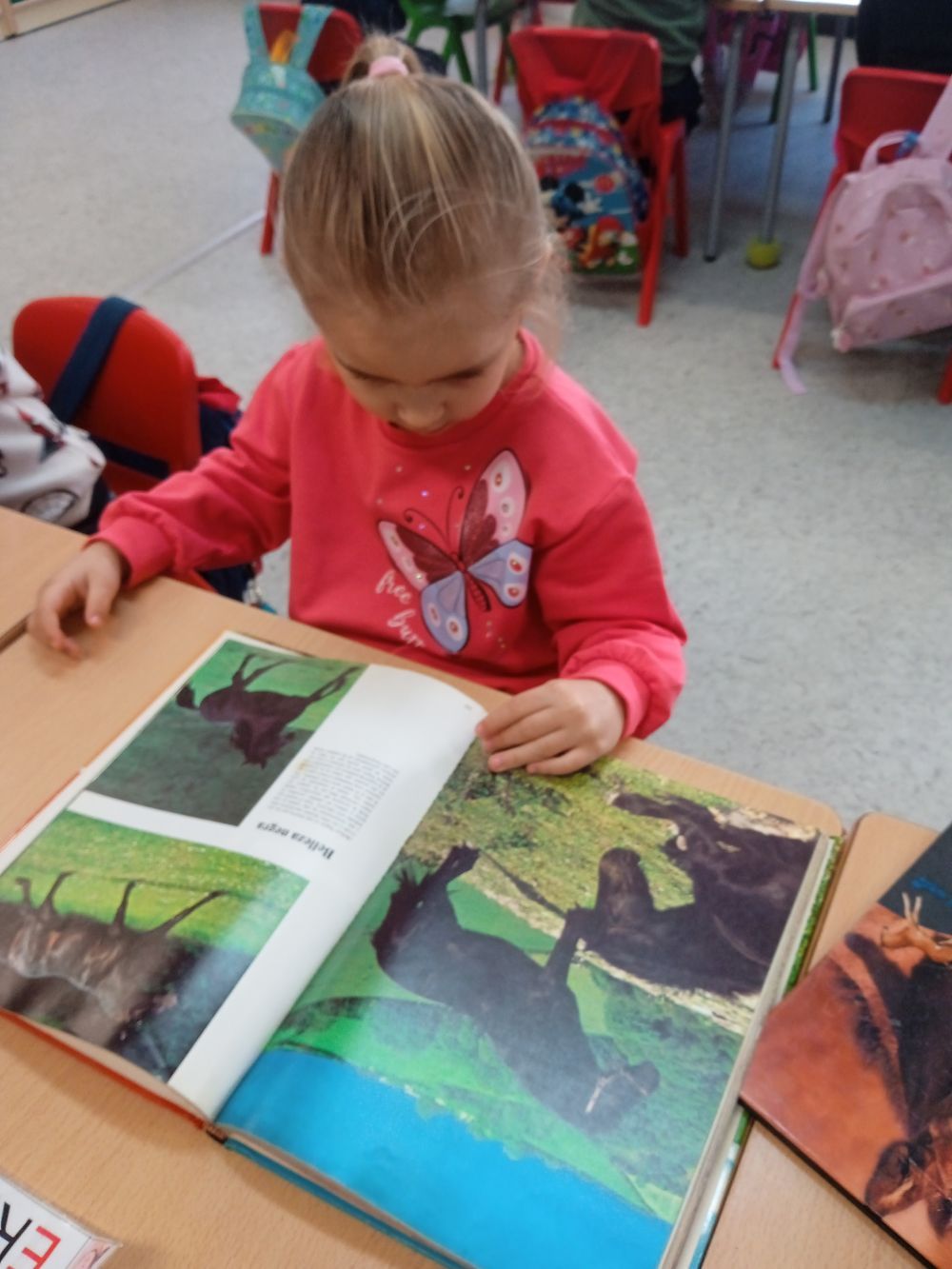 IMG_20250219_094545_1