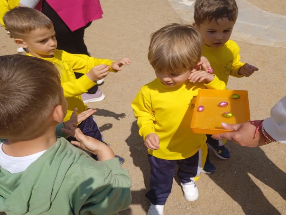 IMG_20250410_144902_1