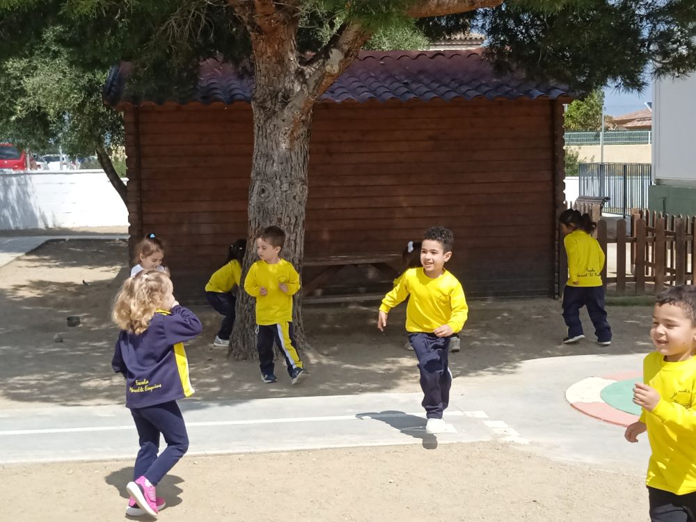 IMG_20250410_144937_1