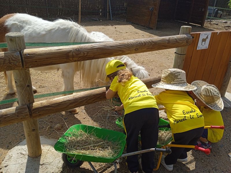 IMG_20250513_111045_1