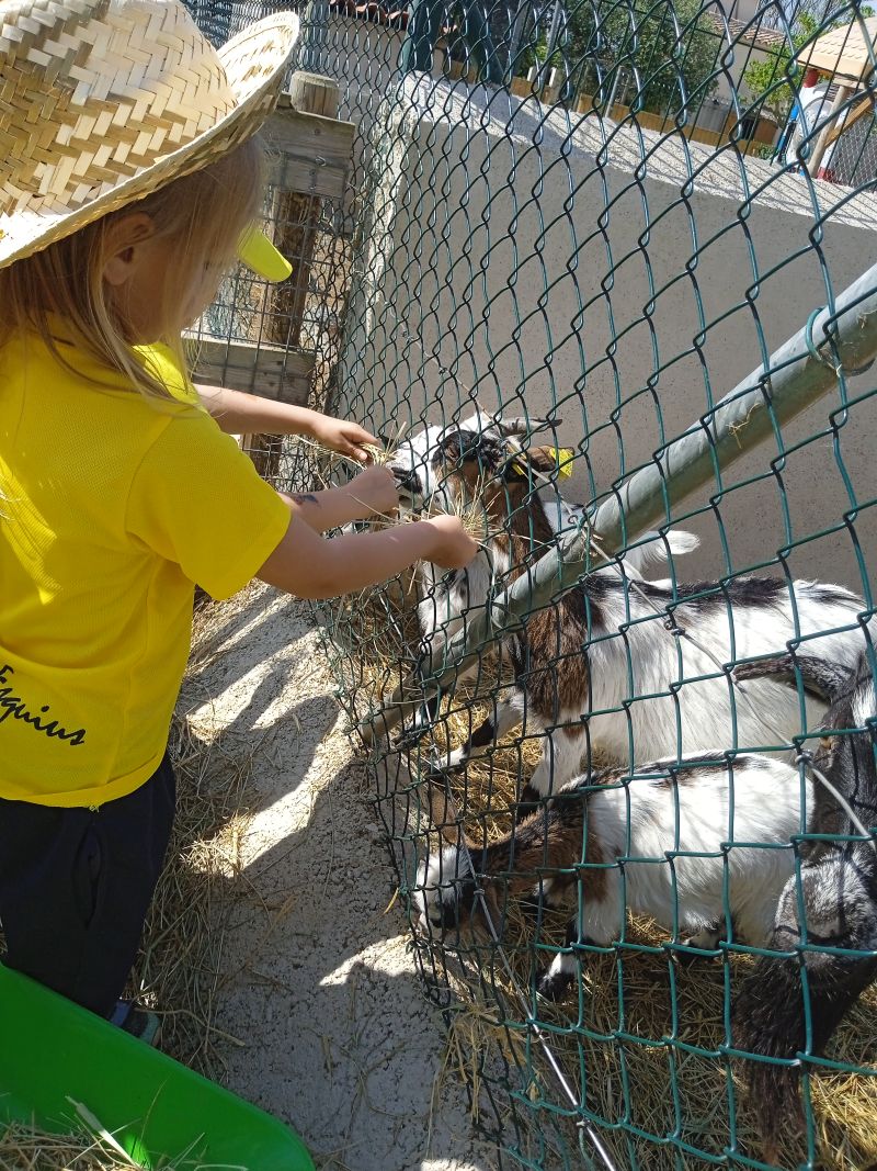 IMG_20250513_111634_1