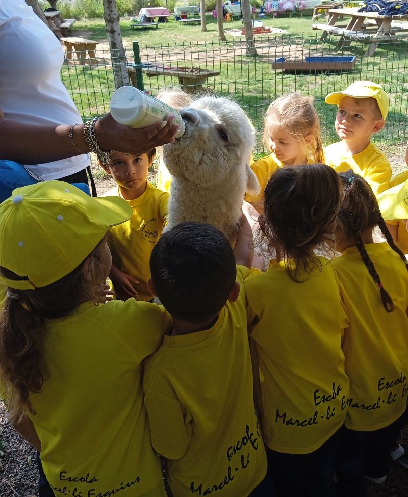 IMG_20250513_115146_1