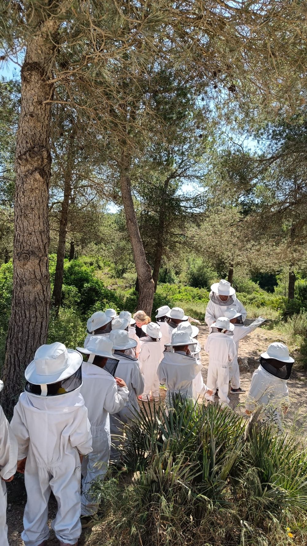 Còpia de IMG-20250529-WA0013