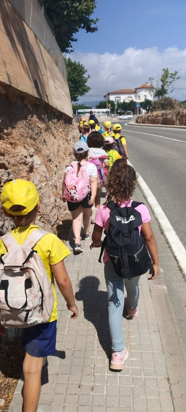 Còpia de IMG-20250606-WA0006