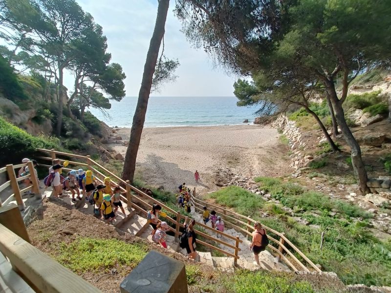 Còpia de IMG-20250606-WA0020