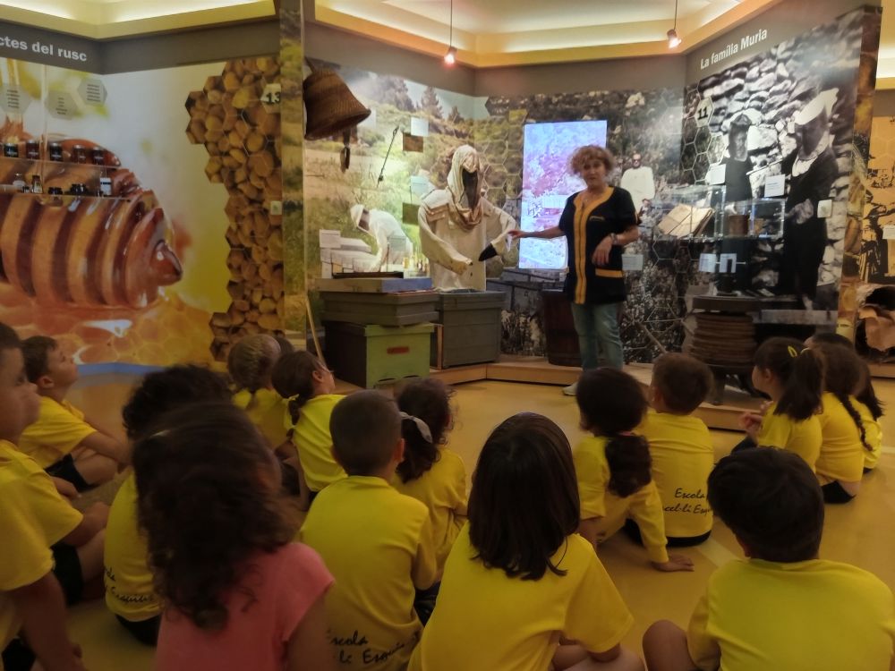 Còpia de IMG_20250529_124704