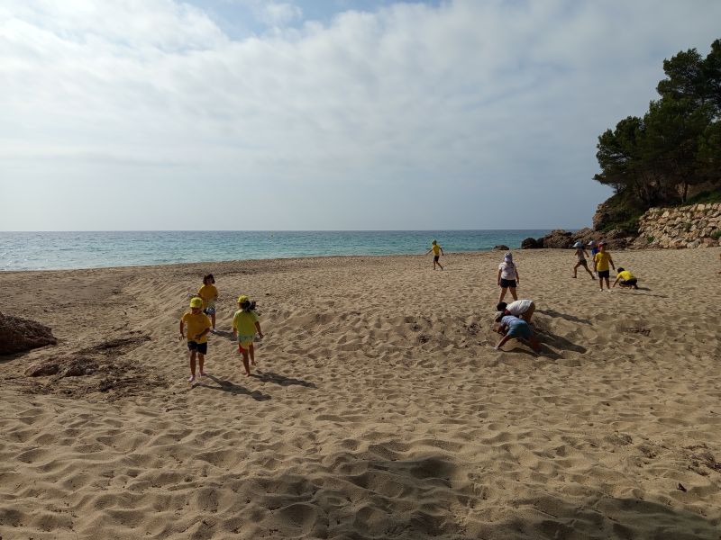 Còpia de IMG_20250606_100720