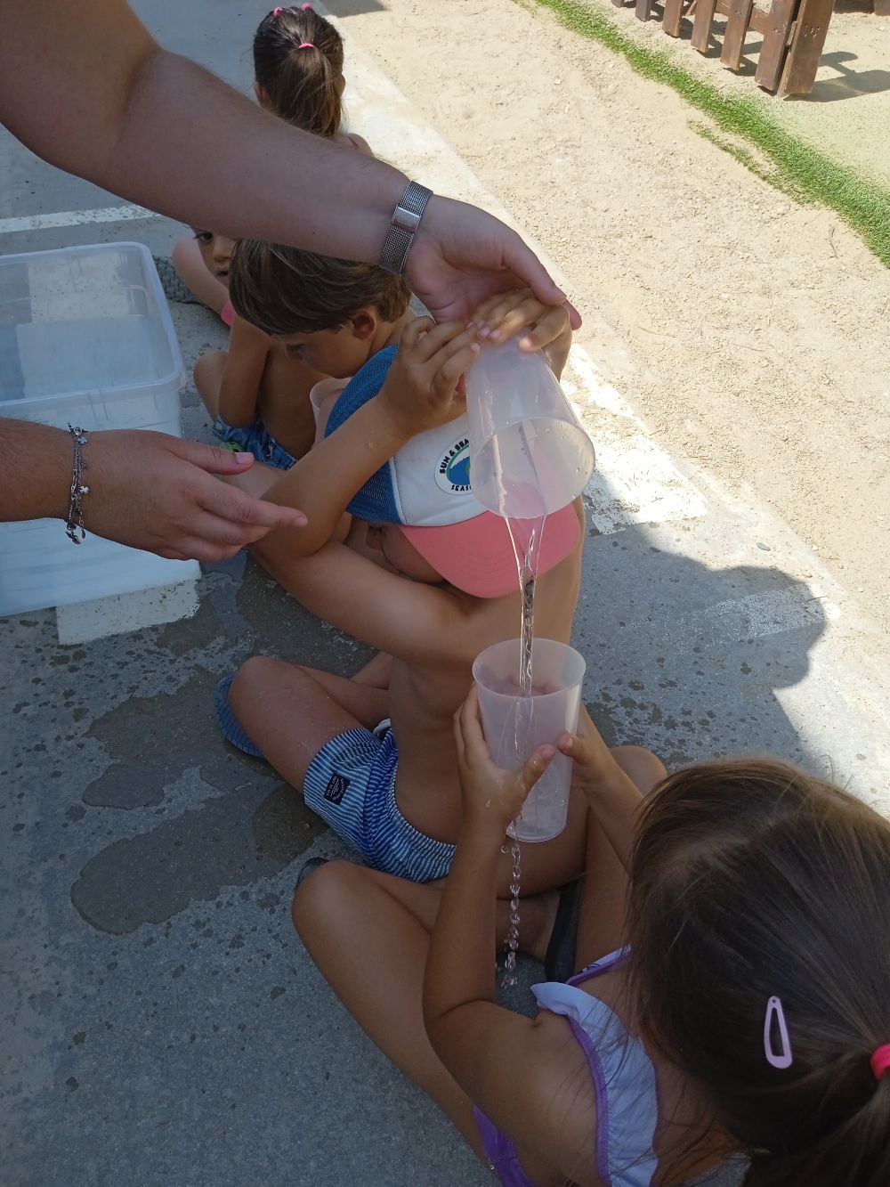 IMG_20250620_111755_1