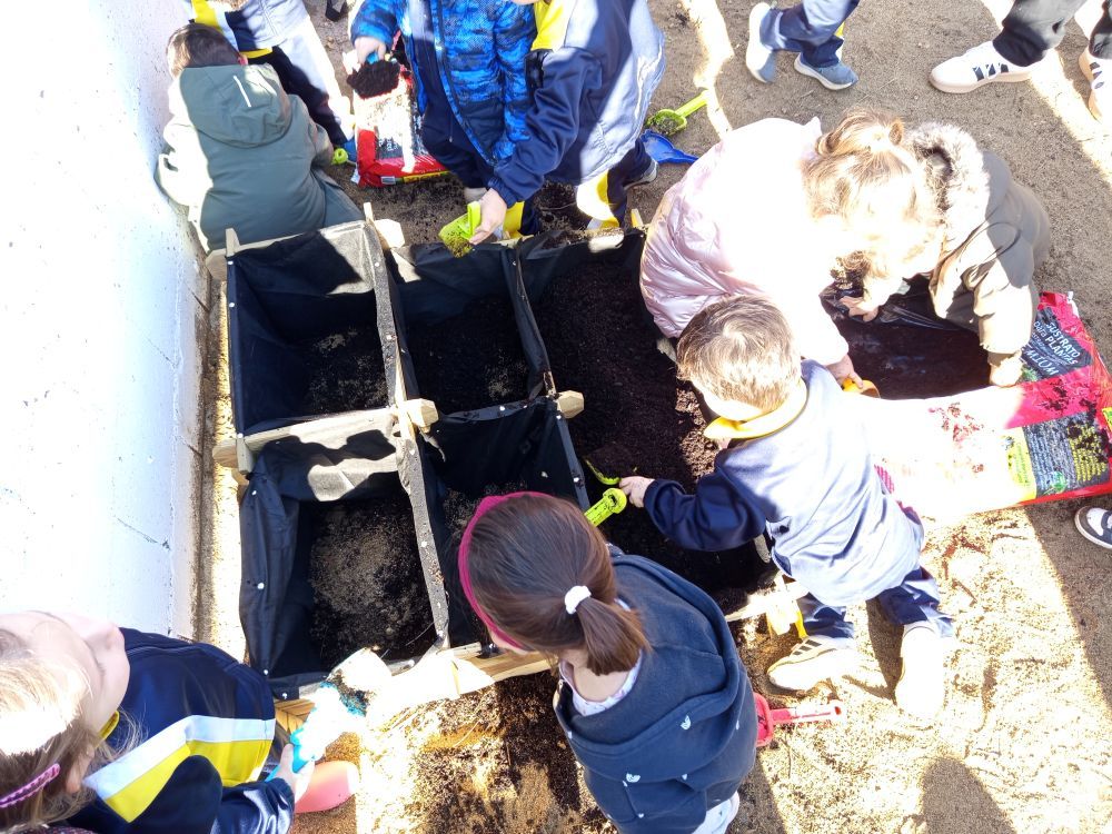 Còpia de IMG_20260205_151549