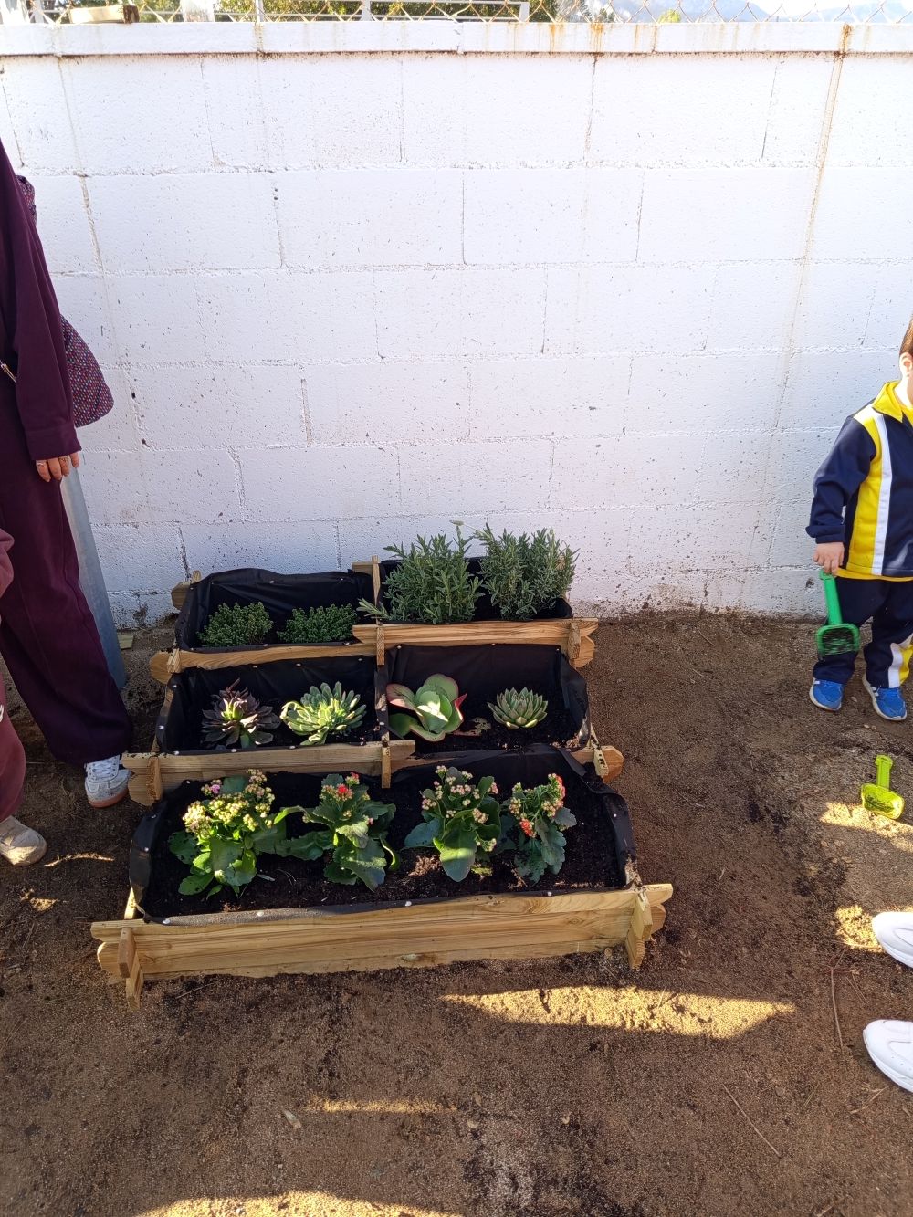 Còpia de IMG_20260205_153050