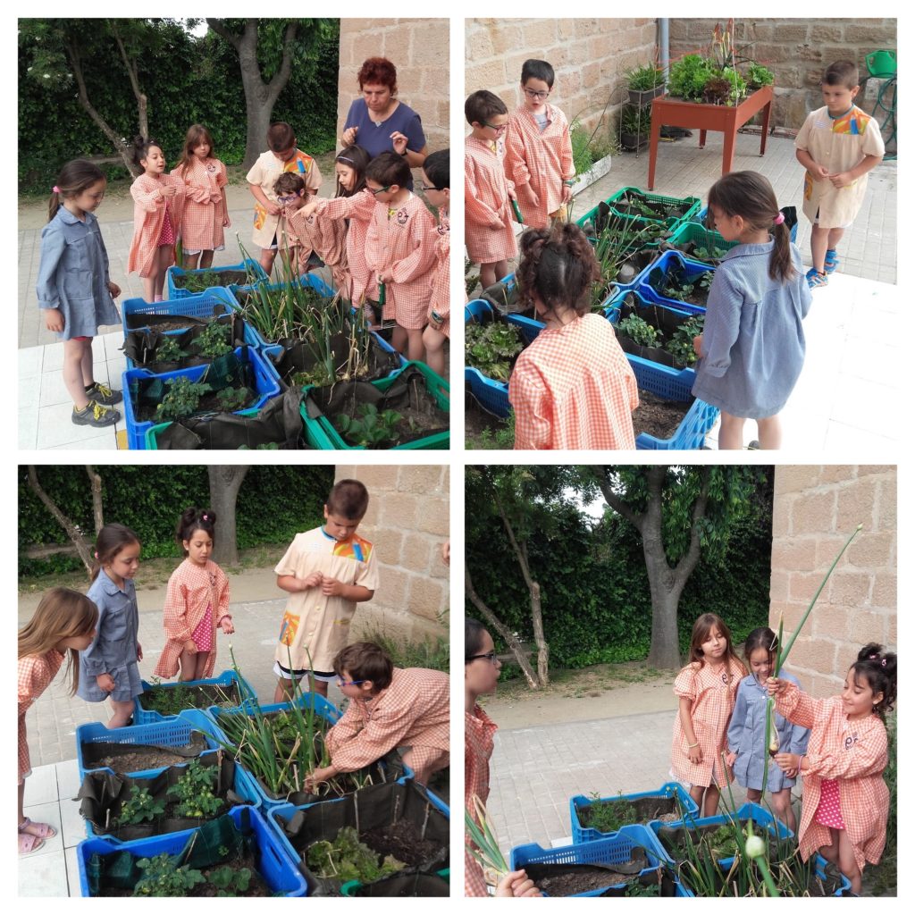 20160610_095610-COLLAGE