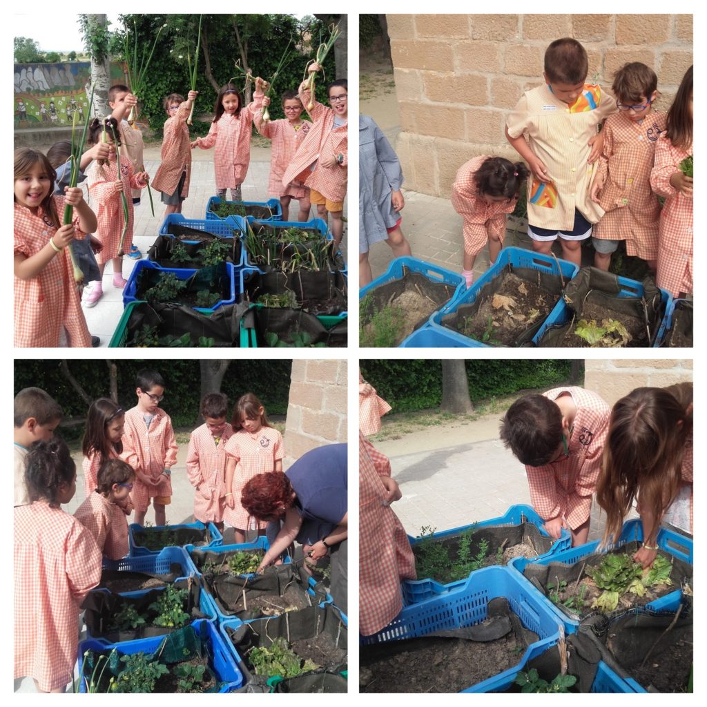 20160610_100017-COLLAGE