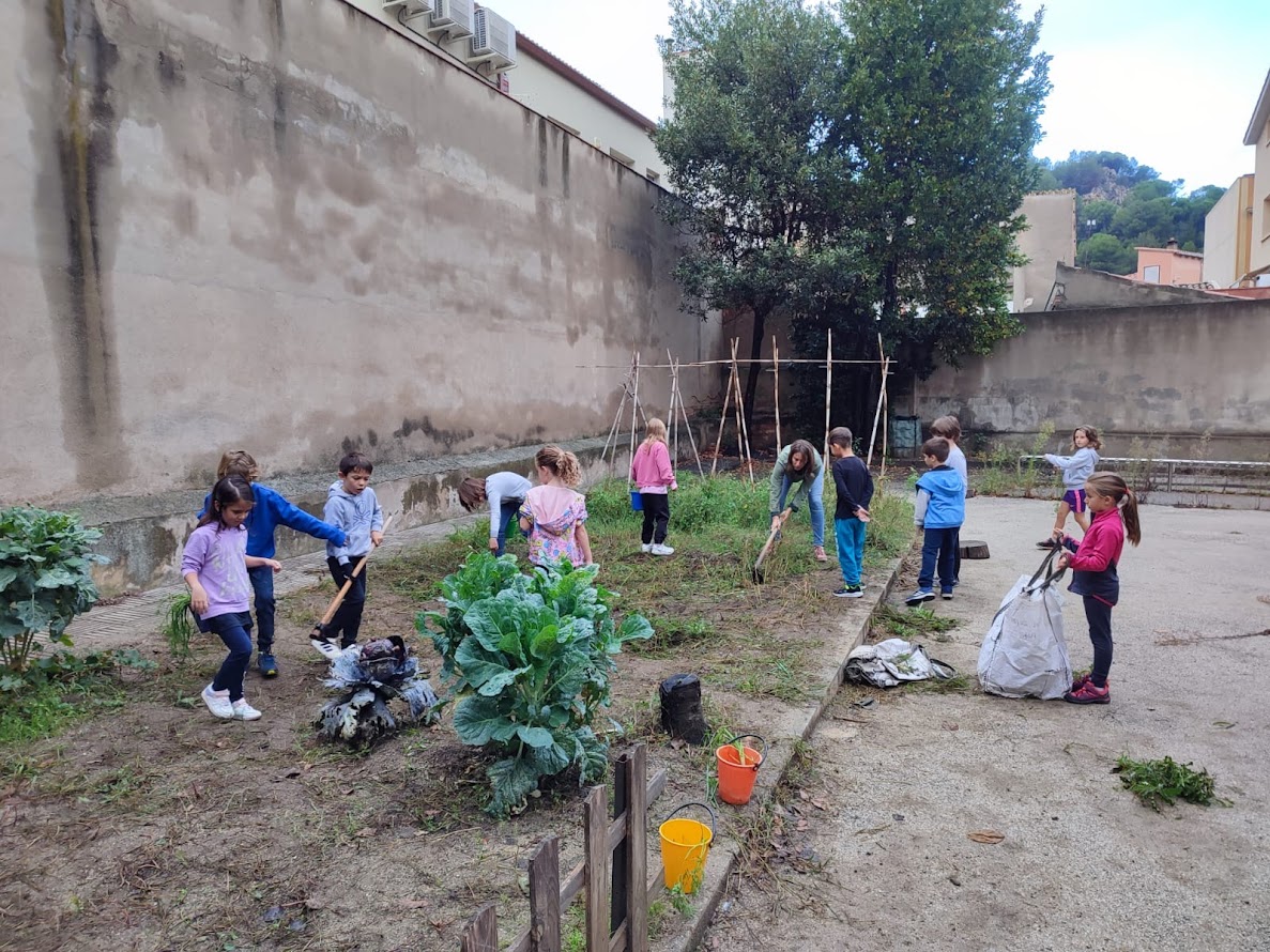 5243c160-e5f2-4c4a-8cf1-f4f7377bf91c (1)