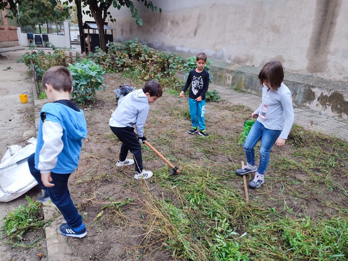 8a1676b2-f0c3-4222-8fe4-a3ca1b2b3db3