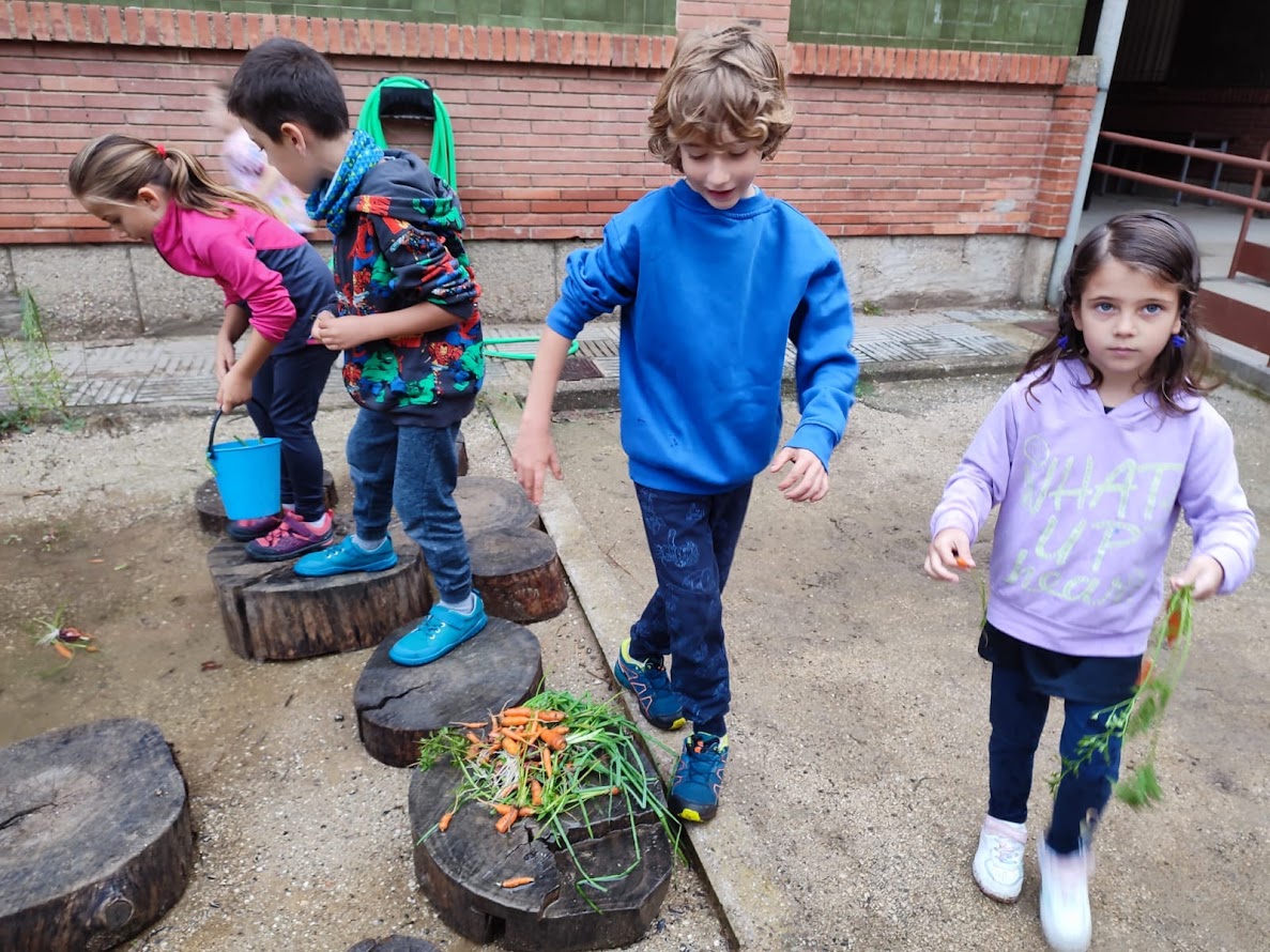 963f5412-5f0c-43e4-90bc-b45861e3487f