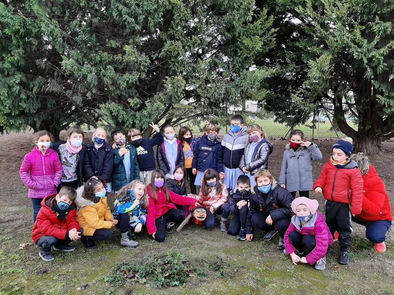 IMG-20201214-WA0006_resultat