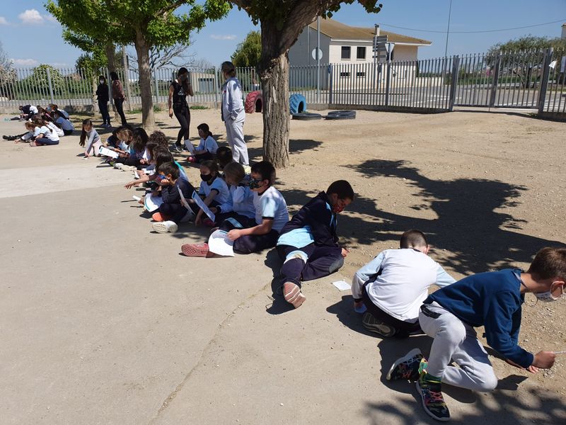 WhatsApp Image 2021-05-03 at 15.20.17 (3)_resultat