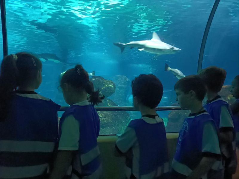 IMG20220523130858_resultat