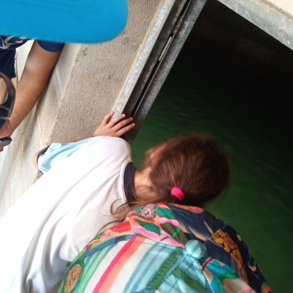 IMG_20220517_104635_resultat