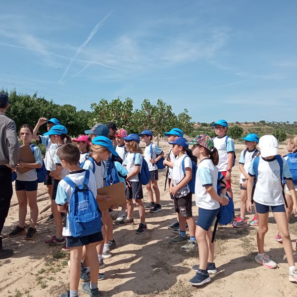 IMG_20220518_105448_resultat