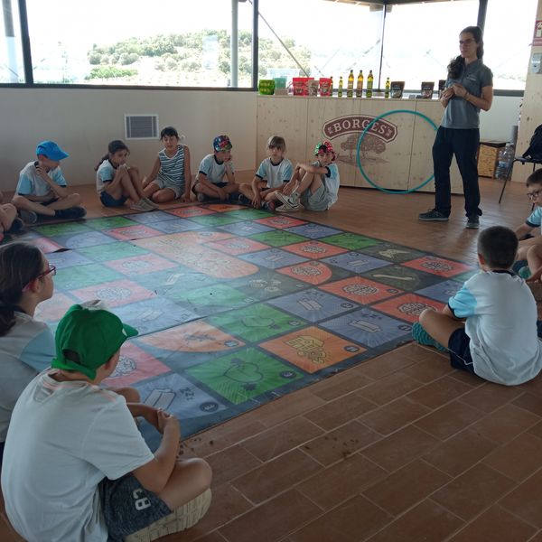 IMG_20220518_120805_resultat