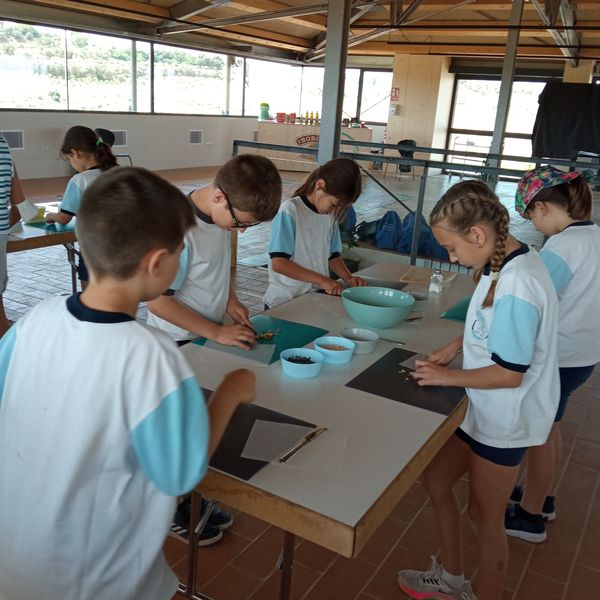 IMG_20220518_130405_resultat